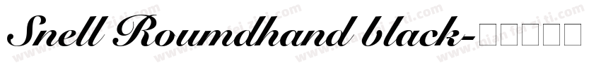 Snell Roumdhand black字体转换